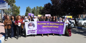 Ji Zanîngehê bang kirin: Di doza Rojîn Kabaîşê de lêpirsîneke bi bandor bikin