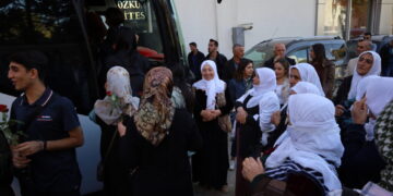 Cinîyê Wanijî seba rayîrşîyayîşî ver bi Amed rayîr kewtê