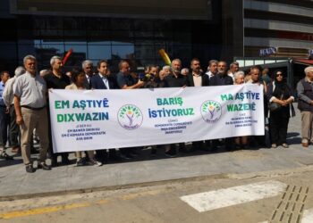 DEM Partî Amed de dest bi kampanyaya ‘Ma aştî wazenê, seba ke…’ kerd