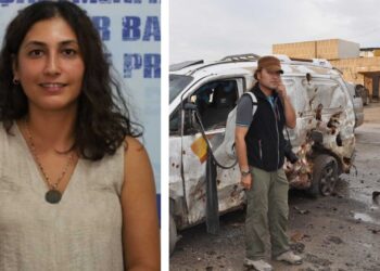 Abdurrahman Gok: Desthilat yekrengî û yekdengiyê li civakê ferz dike