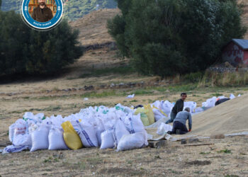 Sewalkar amadekariya zivistanê dikin