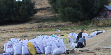 Sewalkar amadekariya zivistanê dikin