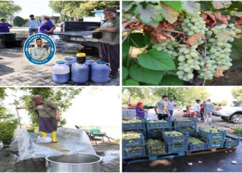 Tirî dikin dims û belavî malbatên feqîr dikin