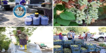 Tirî dikin dims û belavî malbatên feqîr dikin