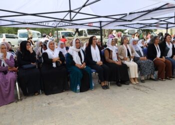 Li Qelqeliyê navenda jinan hat vekirin 