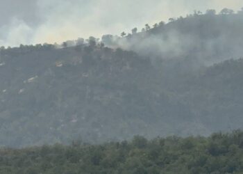 Şewata li Bestayê didome