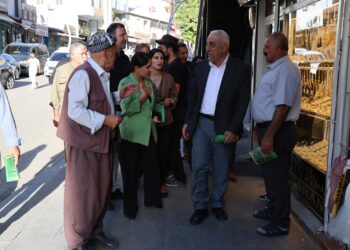 Gelê Şirnexê vexwendin çalakiya Bestayê