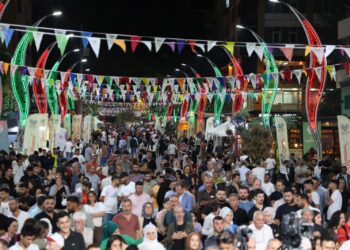 Li Amedê Festîvala Kolana Demokratîk dest pê kir