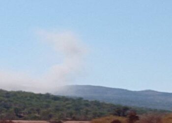 Li Bestayê agir bi daristanê ket