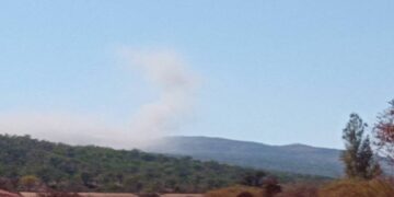 Li Bestayê agir bi daristanê ket