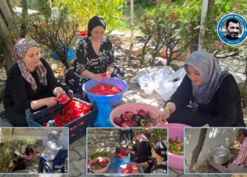 Jinên Amedî amadekariyên zivistanê bi komî kirin