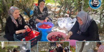 Jinên Amedî amadekariyên zivistanê bi komî kirin