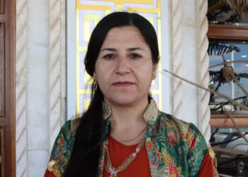 ‘Tirkîya herême de kaosî xorîn kena’