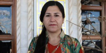 ‘Tirkîya herême de kaosî xorîn kena’