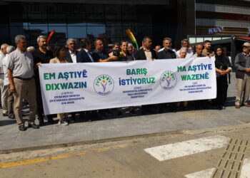 DEM Partiya Amedê ji bo Mafê Hêviyê kampanyaya îmzeyan da destpêkirin