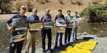 ‘Ne ji bo kuştinê ji bo jiyanê têbikoşin’