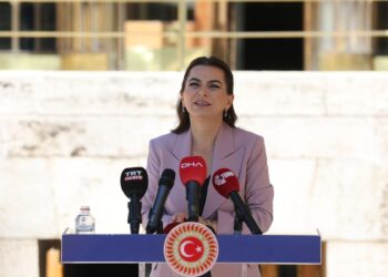 Gulîstan Kiliç Koçyigit: Divê komîsyon bi lêz biçe Îmraliyê