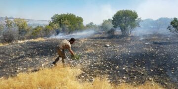 Li gundê Xaçekê yê Pîranê şewat derket