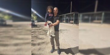 Elyakut 32 serrî ra dima ame veradeyene