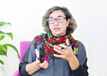 Ayşe Gokkan: Hêzdarbîyayîşê aştî ewleyîya heme gandaran a