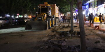 Qeyûmê Êlihî talanê daran keno!