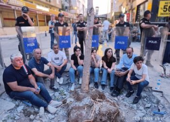 Qeyimê Êlihê darên li Cadeya Diyarbakirê talan dike!