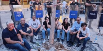 Qeyimê Êlihê darên li Cadeya Diyarbakirê talan dike!