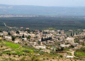 Komên paramîlîter li Efrînê 3 ciwan revandin