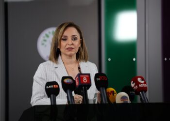 Aysegul Dogan: DEM Partî dê biçe Îmraliyê