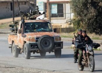 NBB: Di îlonê de 14 kurd revandin