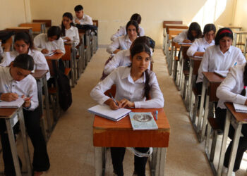 Wendekarê Kobanê: Perwerdeyê ziwanê dayîke şansêko gird o