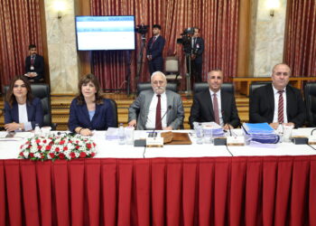 DEM Partî: Guhdarkirina Abdullah Ocalan pêdiviyeke bingehîn e