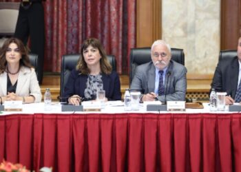 ‘Eke Komîsyon rolê xo do kay bikero, averşîyayîşê tarîxî ra zî ber biakero’