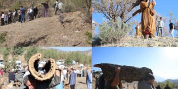 Darên li Bestayê hatine birîn dîsa şandin nava xwezayê