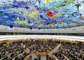 NY: Vera pawitoxanê heqanê însanan zordestî zêdîyena