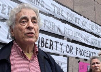 Prof. Wallîs: Ocalan seba têgêrayîşanê antîkapîtalîstan hêvî dano