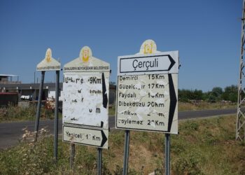 Sewrege de mîyanê 10 aşman de 11 ciwanan xo kişt