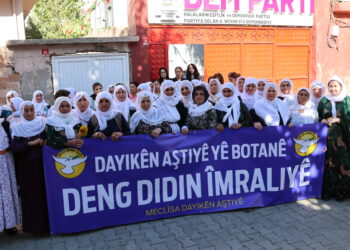 Dayikên Aştiyê bertek nîşanî biryara Konseya Ewrûpayê dan