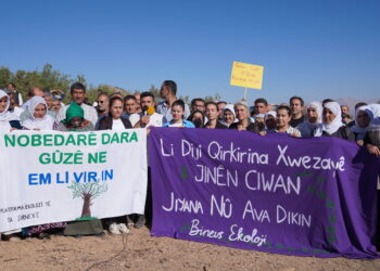 Nobeta li Bestayê bi dawî bû dê çalakiyên cuda pêk bînin