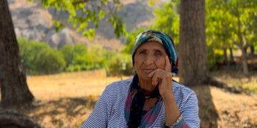 Terteleyê 38î ma rê şûare ya