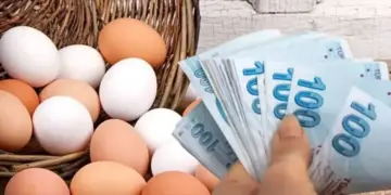 Amed de vaya hakan seyî 40î zêdîya