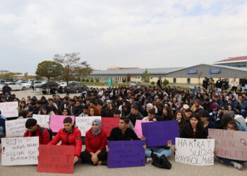 Li Wanê ji bo Rojîn Kabaîşê rêzeçalakî: Bila faîl bên cezakirin