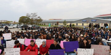 Li Wanê ji bo Rojîn Kabaîşê rêzeçalakî: Bila faîl bên cezakirin