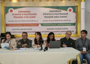 Komxebata ziman didome: Çapemeniya Azad û weşangeran mijarên xwe vegotin