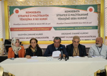 ‘Kurd hewl didin zimanê xwe biparêzin û kedeke mezin jî didin’