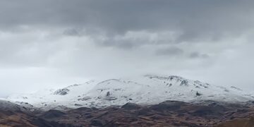 Berfa ewilî li Feraşînê bariya