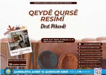 Seba cinîyan qeydanê Kursê Resimî yê Bêpereyî dest pêkerd