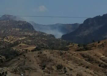 Koyê Cûdî de şewat vejîya