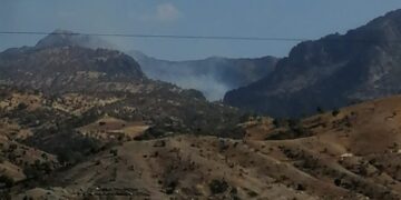 Koyê Cûdî de şewat vejîya