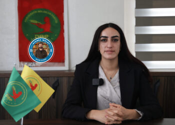 Gonul Ûzûnay: Hîmê qeyranê neçareserkirina kêşeya Kurd e